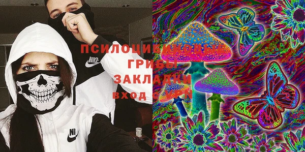 ГАЛЛЮЦИНОГЕННЫЕ ГРИБЫ Богородск