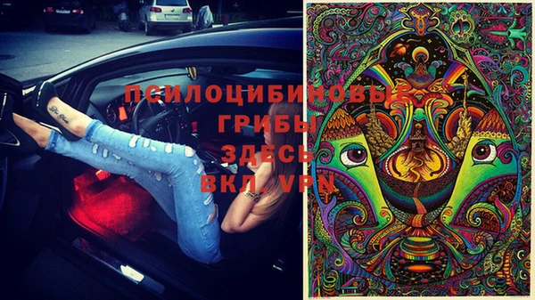 2c-b Богданович