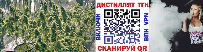 сколько стоит  Нелидово  ТГК концентрат 